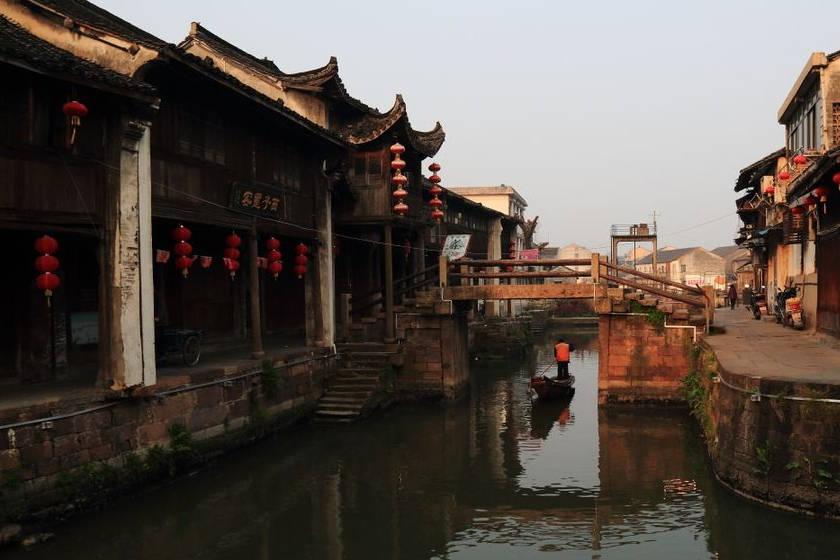 救援小棕兔